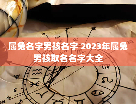 属兔名字男孩名字 2023年属兔男孩取名名字大全