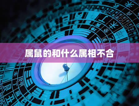 属鼠的和什么属相不合