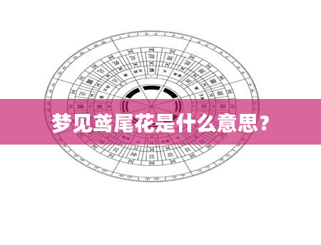 梦见鸢尾花是什么意思？