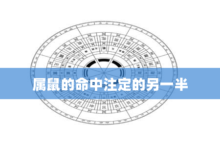 属鼠的命中注定的另一半