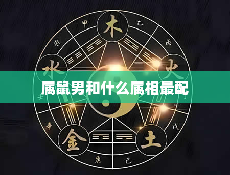 属鼠男和什么属相最配