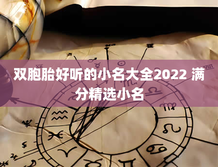 双胞胎好听的小名大全2022 满分精选小名