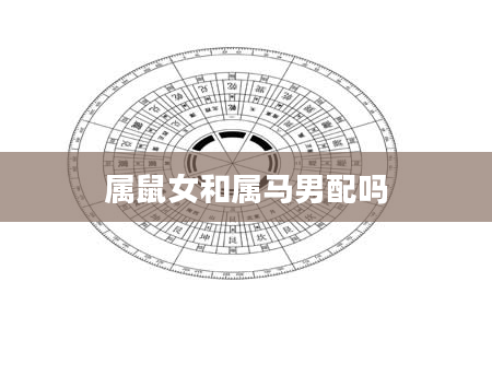 属鼠女和属马男配吗