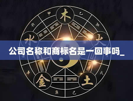 公司名称和商标名是一回事吗_