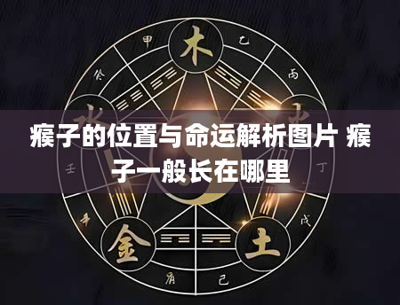 瘊子的位置与命运解析图片 瘊子一般长在哪里