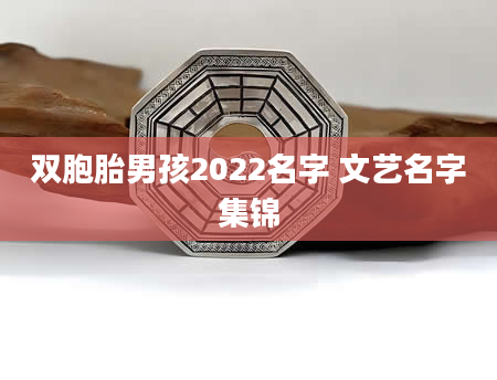 双胞胎男孩2022名字 文艺名字集锦