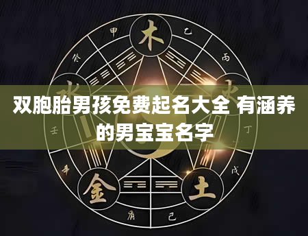 双胞胎男孩免费起名大全 有涵养的男宝宝名字