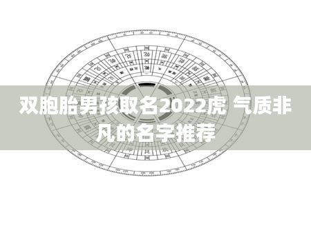 双胞胎男孩取名2022虎 气质非凡的名字推荐