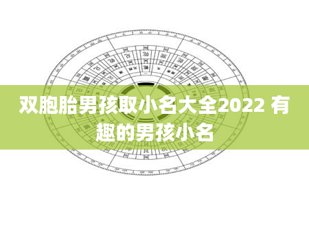 双胞胎男孩取小名大全2022 有趣的男孩小名