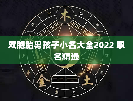 双胞胎男孩子小名大全2022 取名精选