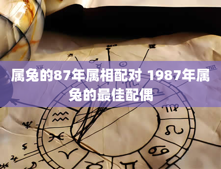 属兔的87年属相配对 1987年属兔的最佳配偶