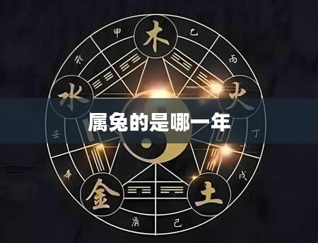 属兔的是哪一年