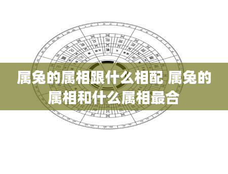 属兔的属相跟什么相配 属兔的属相和什么属相最合