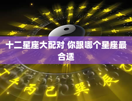 十二星座大配对 你跟哪个星座最合适