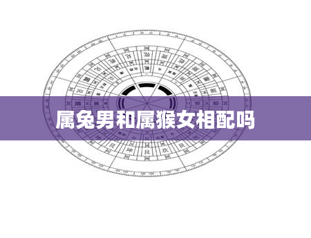 属兔男和属猴女相配吗