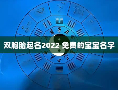 双胞胎起名2022 免费的宝宝名字