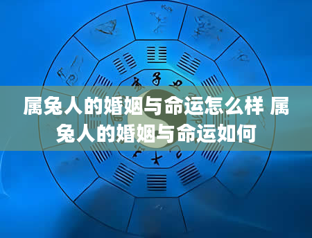 属兔人的婚姻与命运怎么样 属兔人的婚姻与命运如何