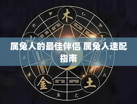 属兔人的最佳伴侣 属兔人速配指南