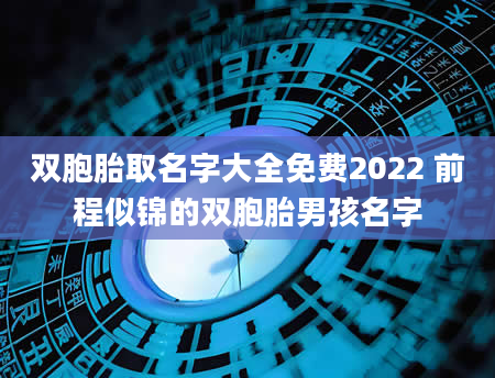 双胞胎取名字大全免费2022 前程似锦的双胞胎男孩名字