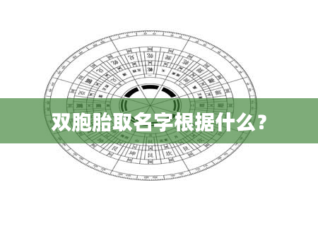 双胞胎取名字根据什么？