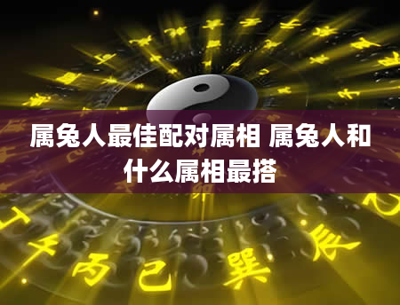 属兔人最佳配对属相 属兔人和什么属相最搭