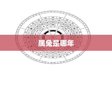 属兔是哪年