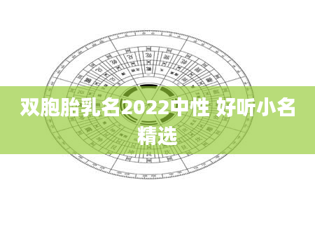双胞胎乳名2022中性 好听小名精选