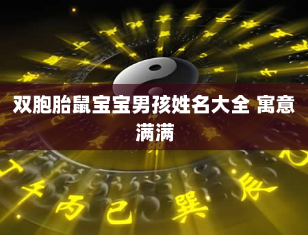 双胞胎鼠宝宝男孩姓名大全 寓意满满