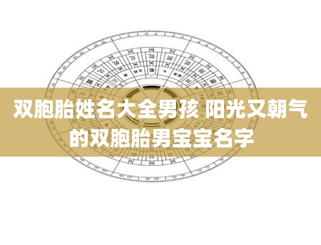 双胞胎姓名大全男孩 阳光又朝气的双胞胎男宝宝名字