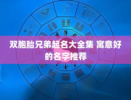 双胞胎兄弟起名大全集 寓意好的名字推荐