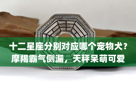 十二星座分别对应哪个宠物犬？摩羯霸气侧漏，天秤呆萌可爱