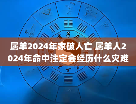 属羊2024年家破人亡 属羊人2024年命中注定会经历什么灾难