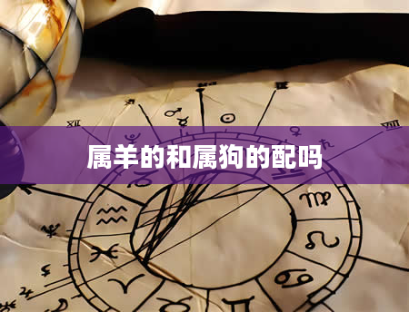 属羊的和属狗的配吗