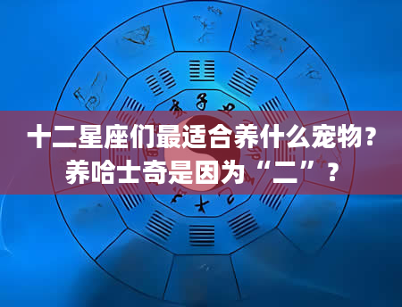 十二星座们最适合养什么宠物？养哈士奇是因为“二”？