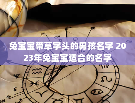 兔宝宝带草字头的男孩名字 2023年兔宝宝适合的名字