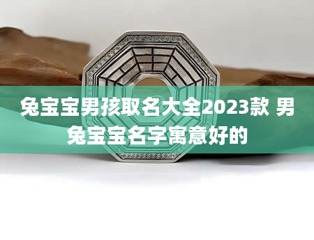 兔宝宝男孩取名大全2023款 男兔宝宝名字寓意好的