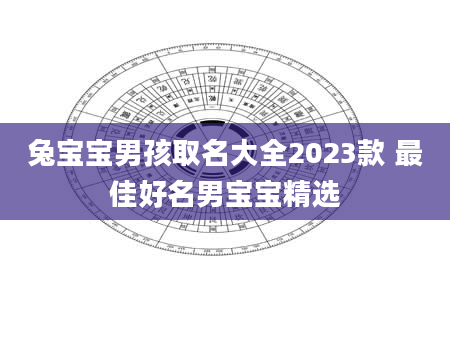 兔宝宝男孩取名大全2023款 最佳好名男宝宝精选