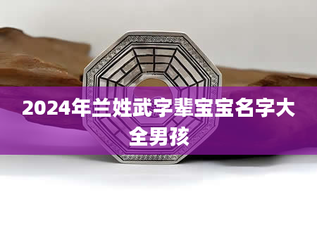 2024年兰姓武字辈宝宝名字大全男孩