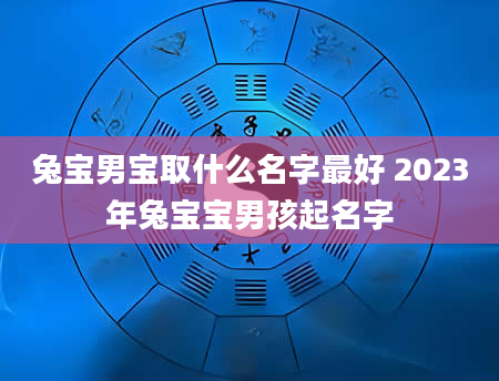 兔宝男宝取什么名字最好 2023年兔宝宝男孩起名字