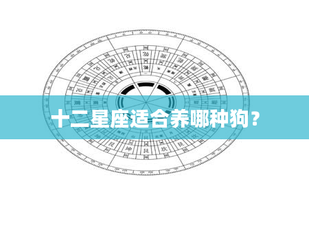 十二星座适合养哪种狗？