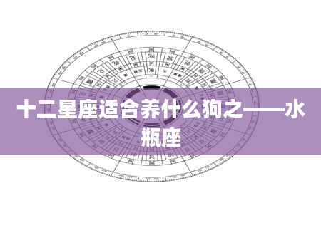 十二星座适合养什么狗之——水瓶座