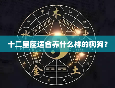 十二星座适合养什么样的狗狗？