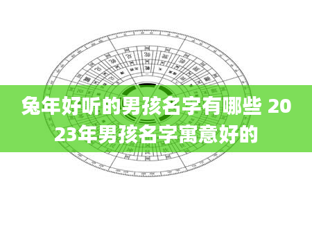 兔年好听的男孩名字有哪些 2023年男孩名字寓意好的