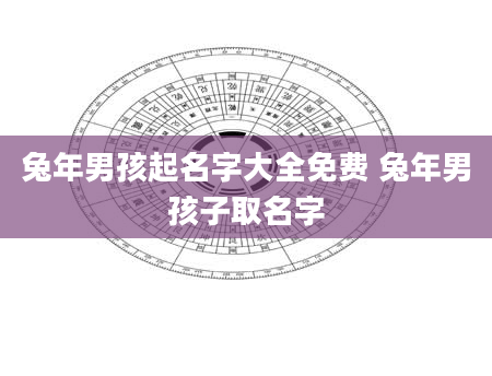 兔年男孩起名字大全免费 兔年男孩子取名字