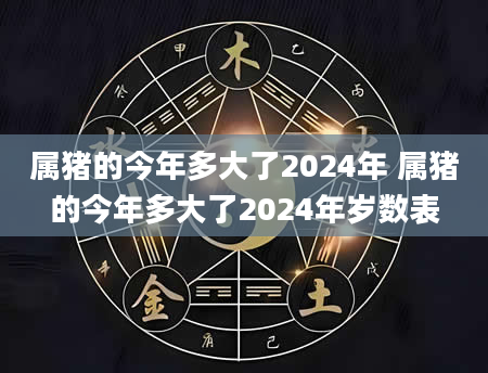 属猪的今年多大了2024年 属猪的今年多大了2024年岁数表