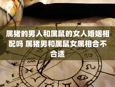属猪的男人和属鼠的女人婚姻相配吗 属猪男和属鼠女属相合不合适