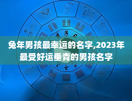 兔年男孩最幸运的名字,2023年最受好运垂青的男孩名字