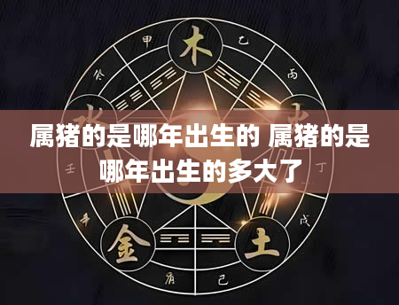 属猪的是哪年出生的 属猪的是哪年出生的多大了