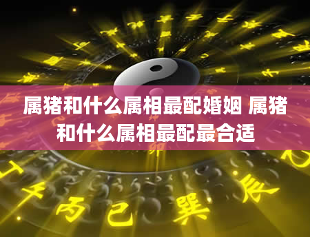 属猪和什么属相最配婚姻 属猪和什么属相最配最合适
