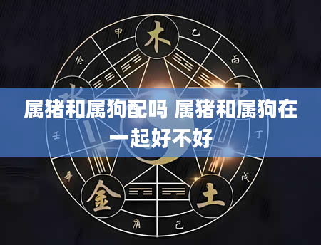 属猪和属狗配吗 属猪和属狗在一起好不好